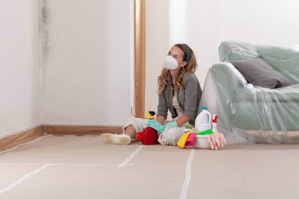 Mold Removal service in Petersburg